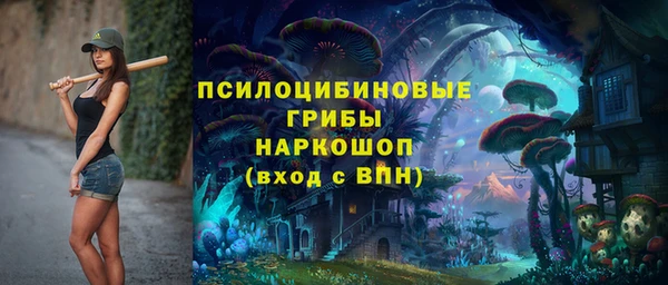СК Абинск