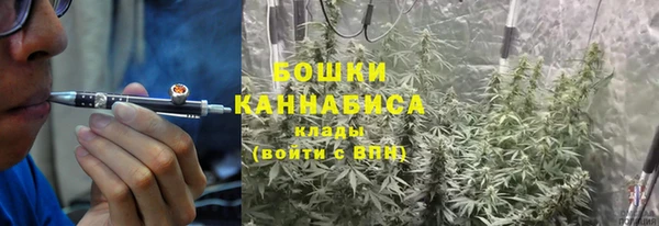 СК Абинск