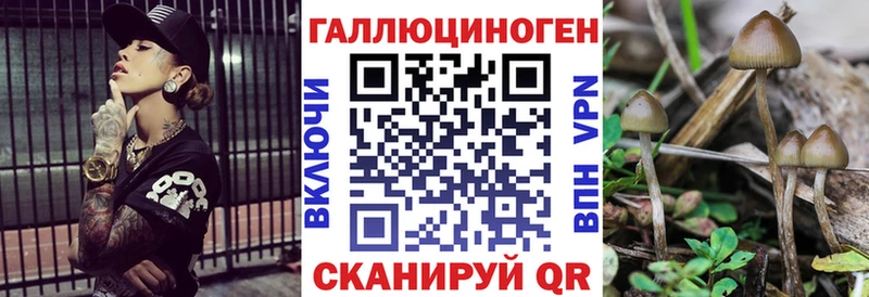 купить   Шенкурск  Псилоцибиновые грибы MAGIC MUSHROOMS 